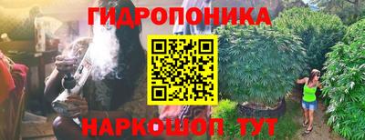 jwh Можга