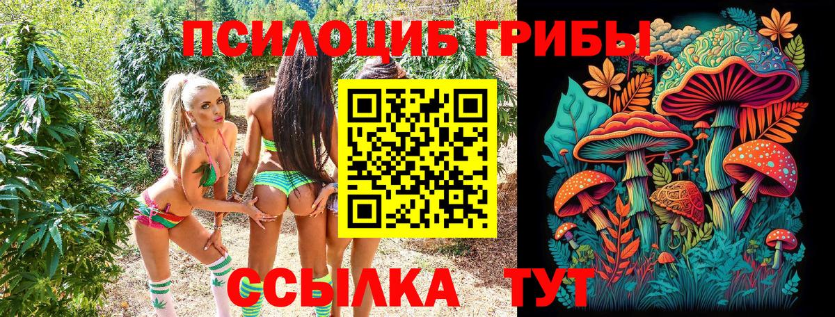 Псилоцибиновые грибы мухоморы  Псилоцибиновые грибы прущие грибы  Южно-Сахалинск  Вход с VPN 